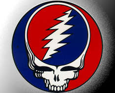 steal your face